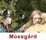 Moesgaard Viking Moot in Aarhus